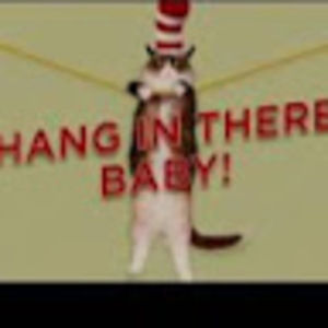 Meet your Posher, Aileen